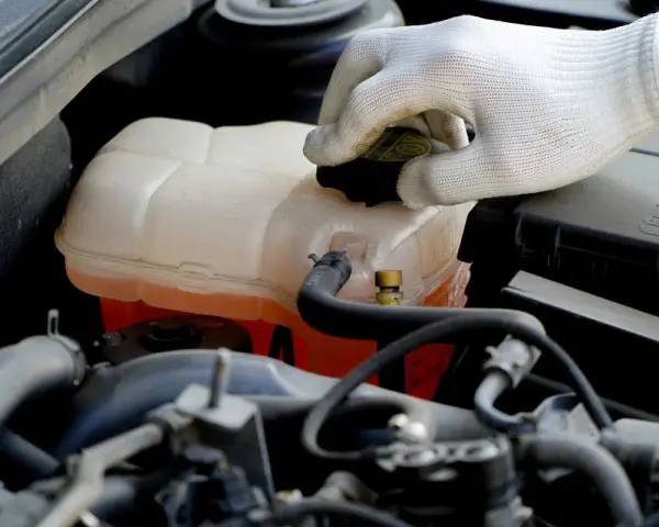 Rękawiczka zakręca korek zbiorniczka płynu chłodniczego. Sprawdź termostat po wężach, obserwując poziom płynu.