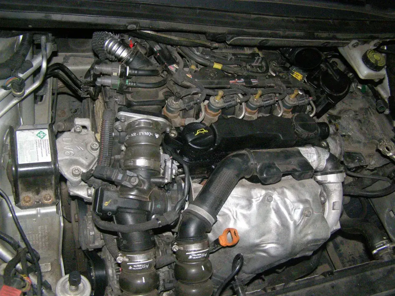 Silnik Citroen C4 1.6 HDI. Zawór EGR znajduje się w dolnej części zdjęcia, po lewej stronie, pod czarną obudową z przewodami.