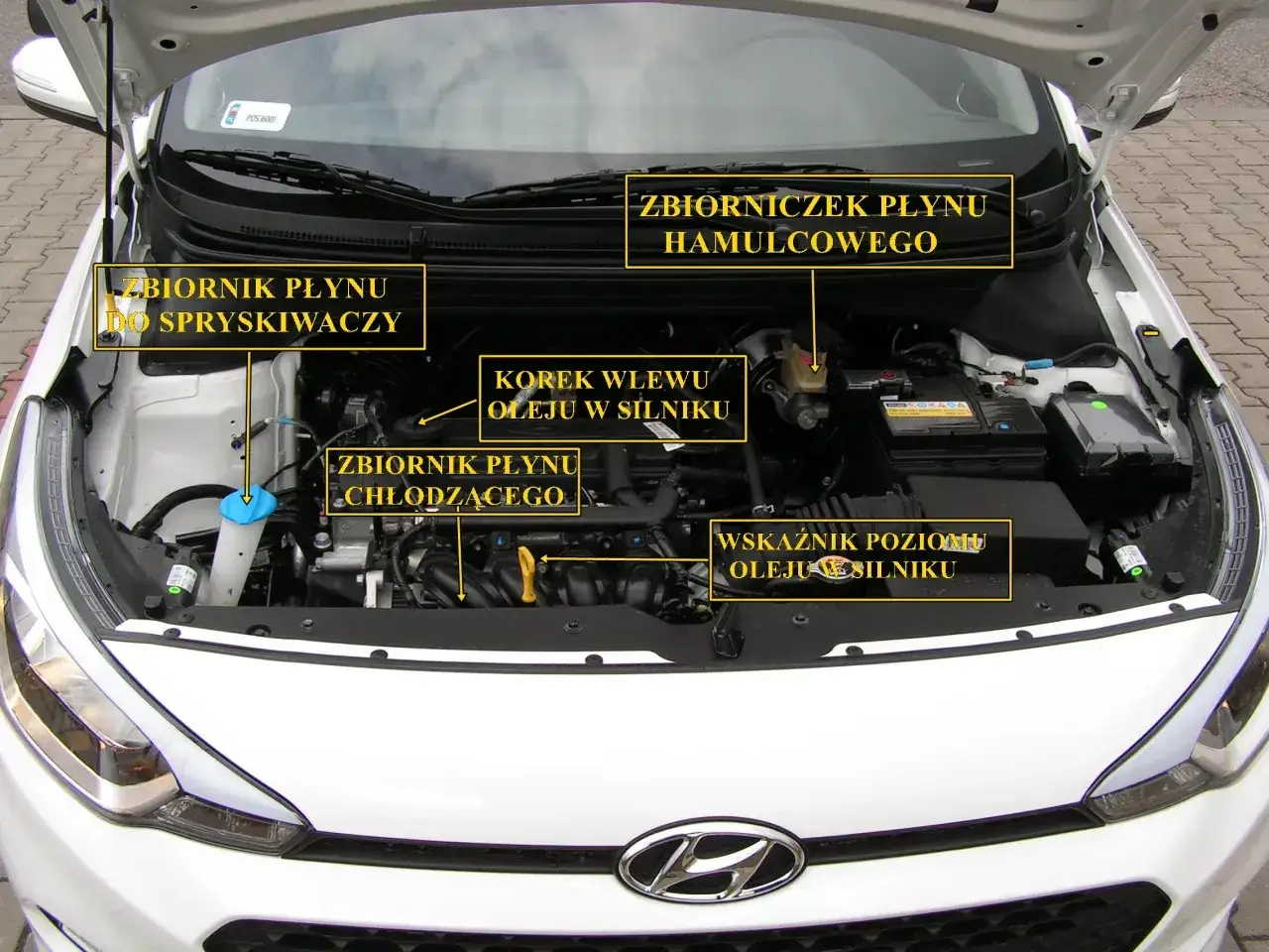 Silnik Hyundai i30. Zbiornik płynu chłodzącego znajduje się po prawej stronie, obok zbiorniczka płynu hamulcowego.